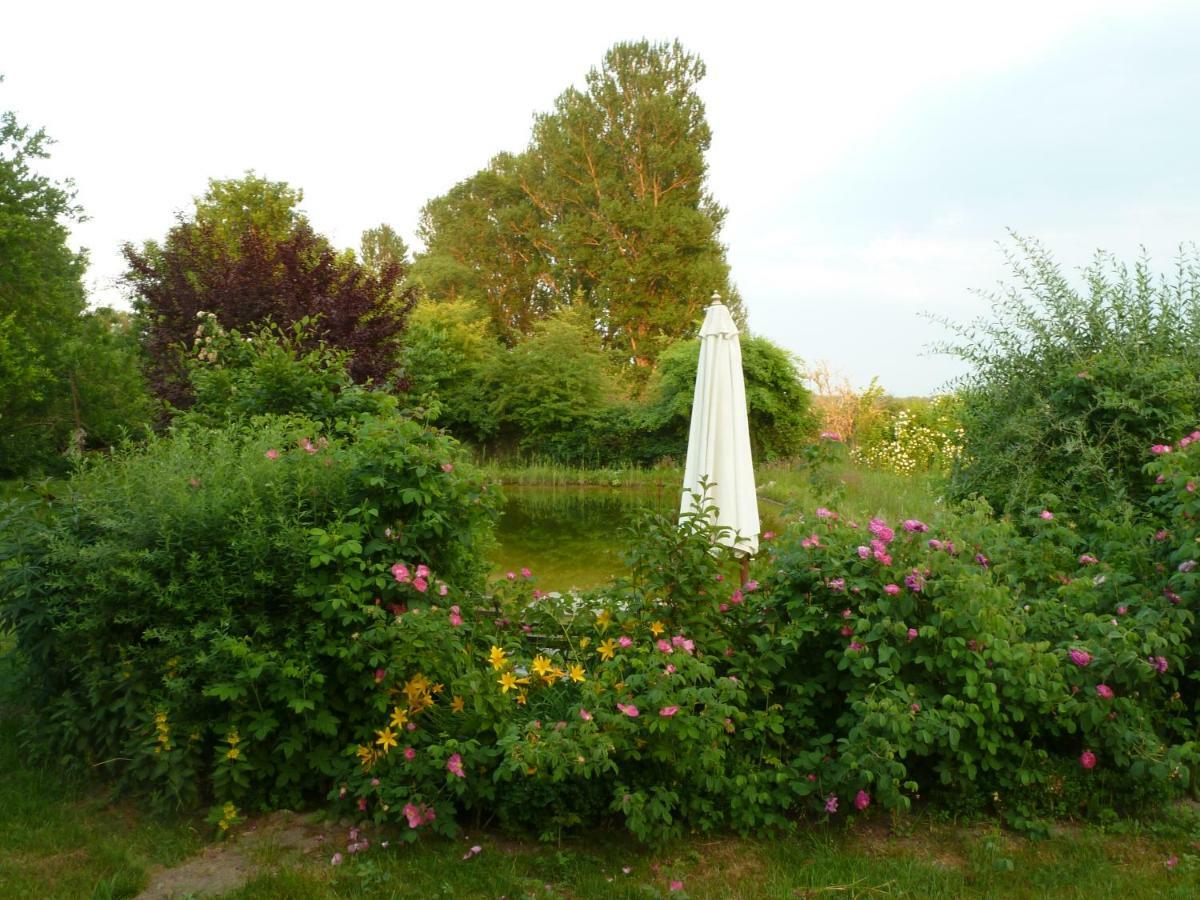 Gutshaus Altbauhof Apartment Dargun Bagian luar foto